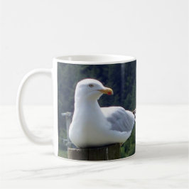 Taza De Café Gaviota descansando en un poste de la cerca Fauna 