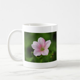 Taza De Café Geranium