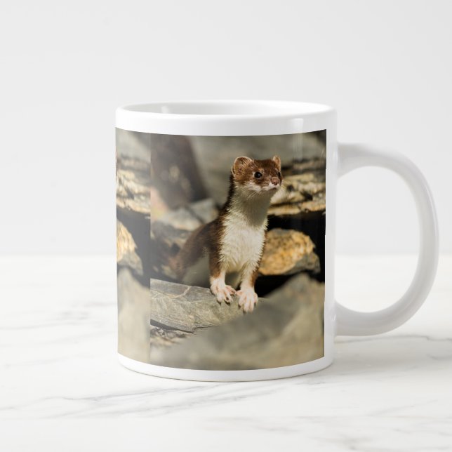 Taza De Café Gigante Alert Weasel (Derecha)