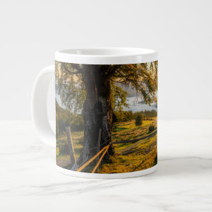 Taza De Café Gigante Amanecer oxidado en un bosque