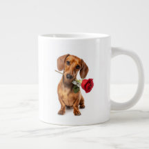 Amor por Dachshund