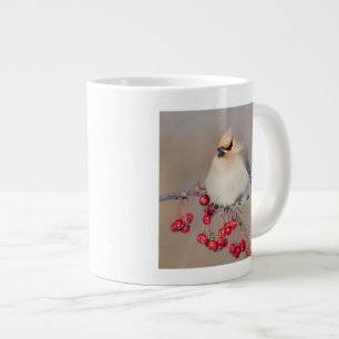 Taza De Café Gigante Ampelis europeo en invierno, Canadá