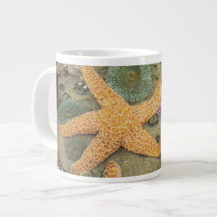 Taza De Café Gigante Anémonas verdes gigantes y estrellas de mar ocre