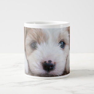 Taza De Café Gigante Animales de bebé más afectados   Cavashon Puppy