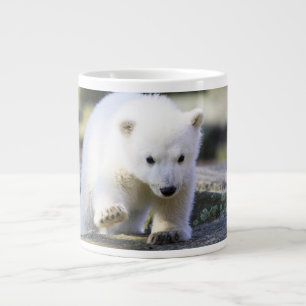 Taza De Café Gigante Animales de bebé más afectados   Cubo de oso polar