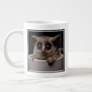 Taza De Café Gigante Animales de bebé más afectados   Cute Bushbaby