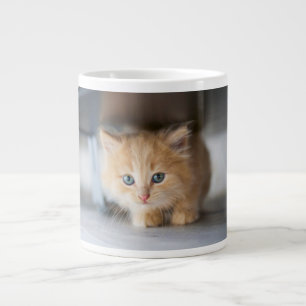 Taza De Café Gigante Animales de bebé más afectados   Fluffy Naranja Ki