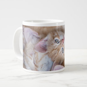 Taza De Café Gigante Animales de bebé más afectados Naranja Kitten Pi