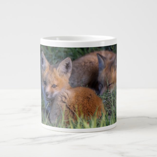 Taza De Café Gigante Animales de bebé más afectados | Pareja de hermano (Frente)