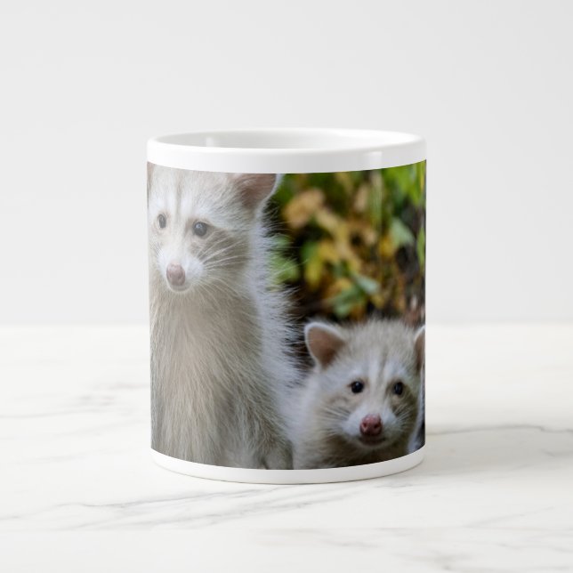 Taza De Café Gigante Animales de bebé más afectados | Racconones jóvene (Frente)