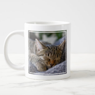 Taza De Café Gigante Animales de bebé más afectados Tabby Kitten Slee
