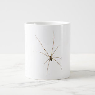 Taza De Café Gigante Araña