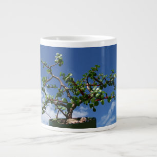 Taza De Café Gigante Árbol 1 del afra del portulacaria de los bonsais