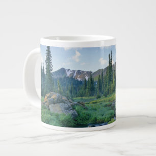 Taza De Café Gigante Arroyo Picnic en la Cuenca Jewel de Swan