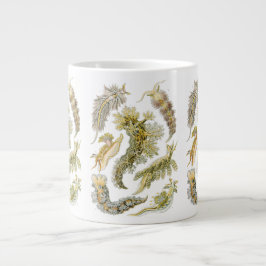 Taza De Café Gigante Babosas marinas de Ernst Haeckel, Nudibranchia vin