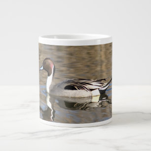 Taza De Café Gigante Baños De Pato Pintail En Un Estanque