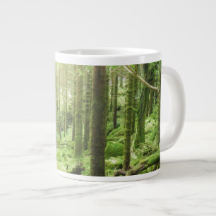 Taza De Café Gigante Bosque en el Parque Nacional Killarney Kerry, Irl