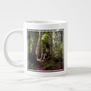 Taza De Café Gigante Bosques Redwood Forest California