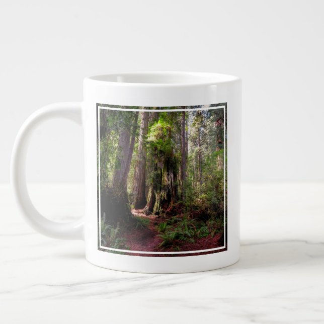 Taza De Café Gigante Bosques | Redwood Forest California (Izquierda)