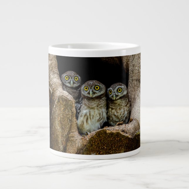 Taza De Café Gigante Bosques | Tres lechuzas con aspecto (Frente)
