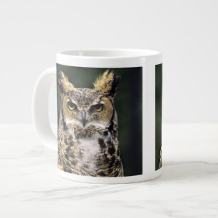 Taza De Café Gigante Búho Americano (Bubo virginianus), cuerpo completo