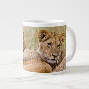 Taza De Café Gigante Cachorros de León Reposando