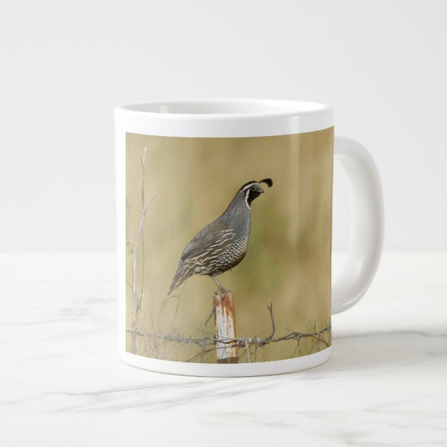 Taza De Café Gigante California Quail (Derecha)