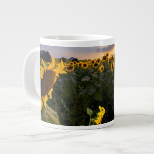 Taza De Café Gigante Campo de girasoles en flor