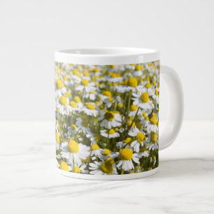 Taza De Café Gigante Campo de manzanilla, Hungría