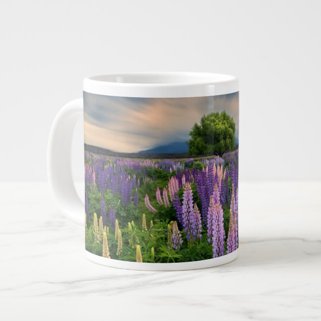 Taza De Café Gigante Campo Lupin en Nueva Zelanda (Izquierda)