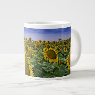 Taza De Café Gigante Campos de girasol de California