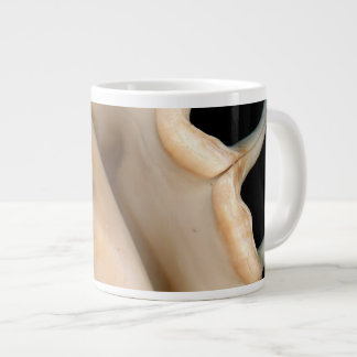 Taza De Café Gigante Caracol - Conquiliología - Concha