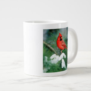 Taza De Café Gigante Cardenal norteño macho en árbol, IL
