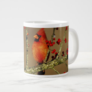 Taza De Café Gigante Cardenal norteño macho posado, IL