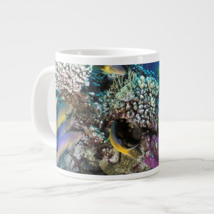 Taza De Café Gigante Cardumen de Salmonetes alrededor de pequeño coral