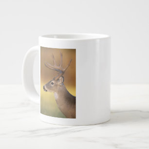 Taza De Café Gigante Cerveza blanca, Odocoileus virginianus,