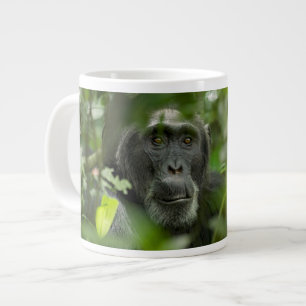 Taza De Café Gigante Chimpancé escondido entre la vegetación