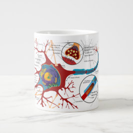 Taza De Café Gigante Ciencia de diagrama de células nerviosas