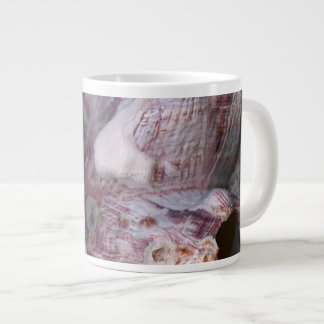 Taza De Café Gigante Concha - Concología - Isla Volcán