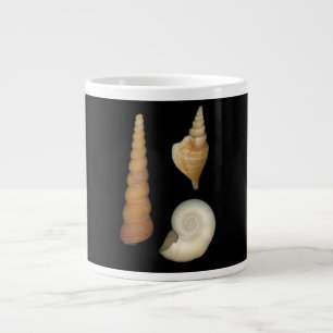 Taza De Café Gigante Conchas - Concología - Caracoles Marinos
