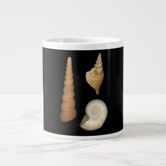 Taza De Café Gigante Conchas - Concología - Caracoles Marinos