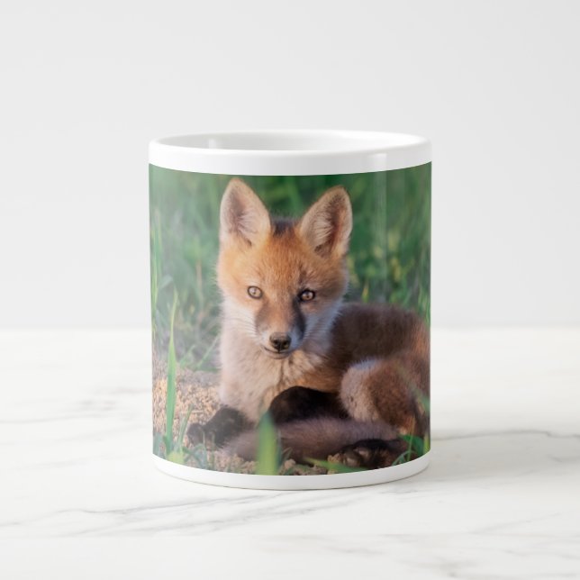 Taza De Café Gigante Cutest Baby Animals | Red Fox Kit Relaxing (Frente)