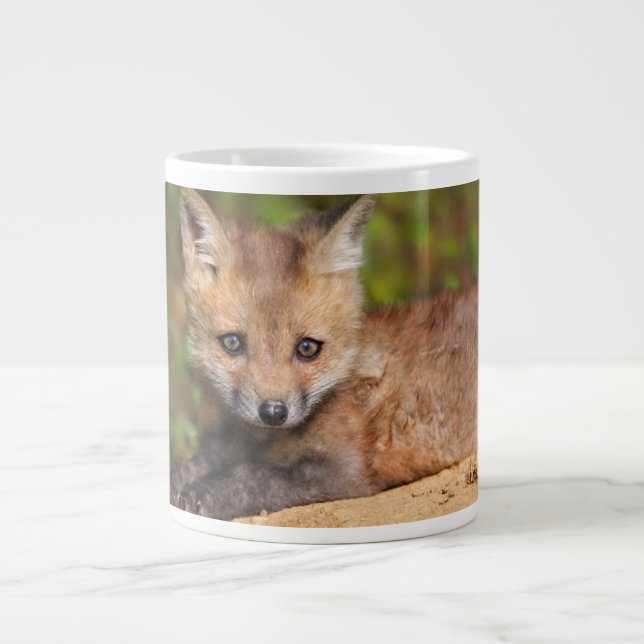 Taza De Café Gigante Cutest Baby Animals | Red Fox Pup (Frente)