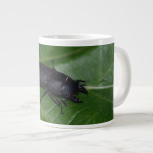 Taza De Café Gigante Dorcus parallelipipedus , el escarabajo de menor t