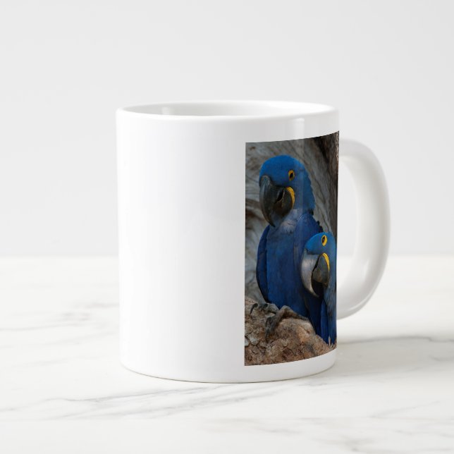 Taza De Café Gigante Dos Macaws Hyacinin, Brasil (Derecha)