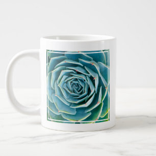 Taza De Café Gigante Echeveria Roseta, Jardín Secreto de Marrakech
