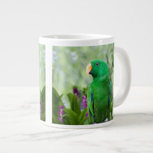 Taza De Café Gigante Eclectus Parrot Male