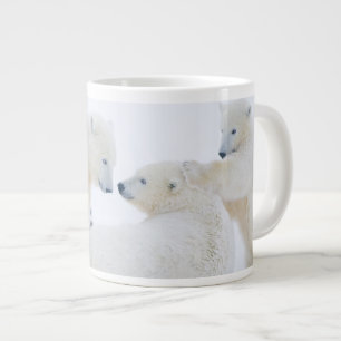 Taza De Café Gigante EE. UU., Alaska, llanura costera del Ártico 1002