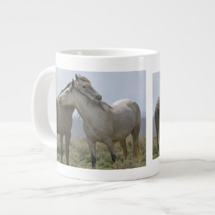 Taza De Café Gigante EE. UU., Wyoming, condado de Carbon. Caballos salv