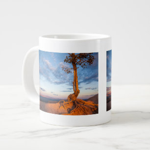Taza De Café Gigante El árbol se aferra en la repisa, parque nacional